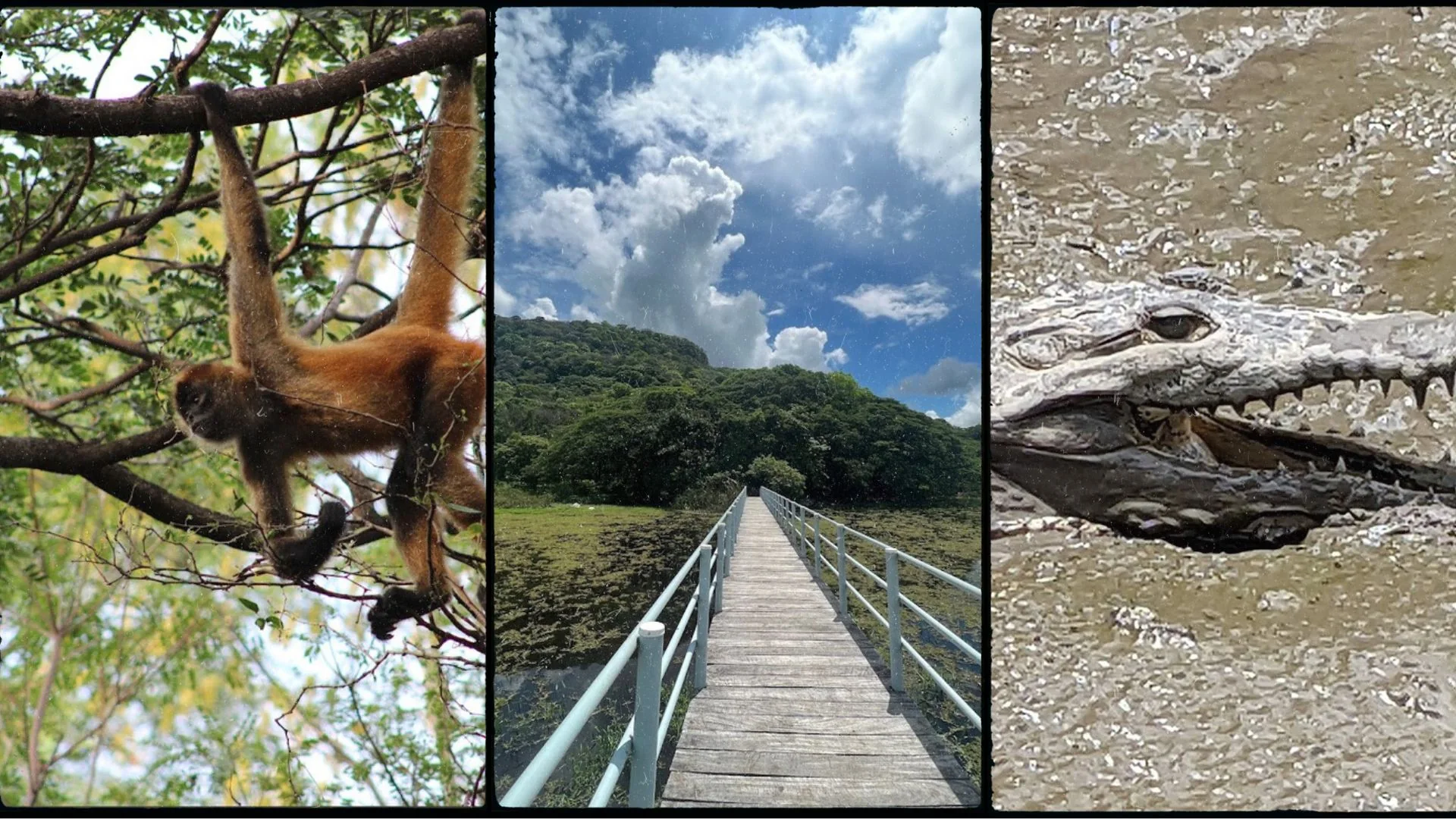 Parque Nacional Palo Verde