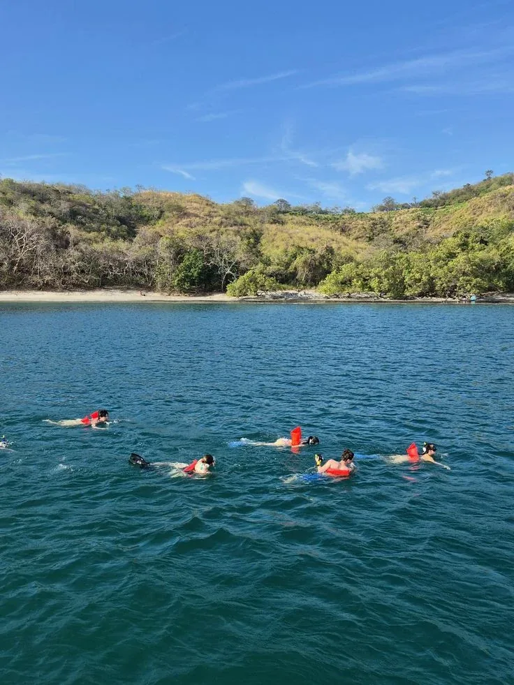 Islas Catalinas